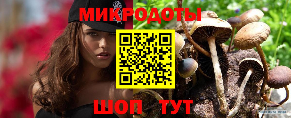 Заводоуковск  даркнет сайт  Вход с VPN  Галлюциногенные грибы мухоморы 
