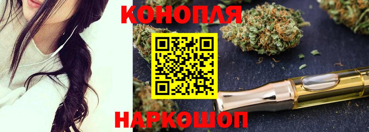 Каннабис план Заводоуковск